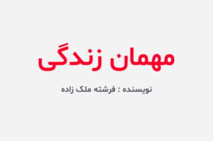 دانلود رمان مهمان زندگی