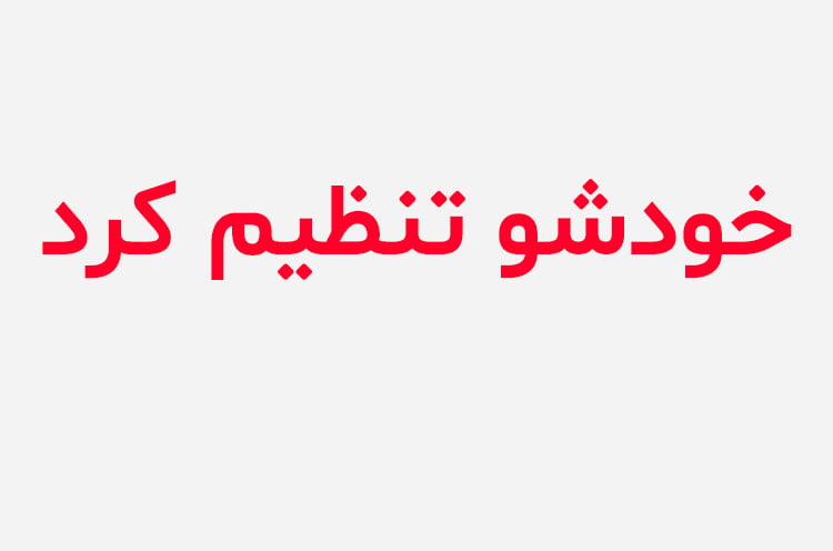 دانلود رمان خودشو تنظیم کرد