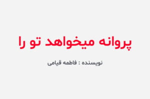 دانلود رمان پروانه میخواهد تو را
