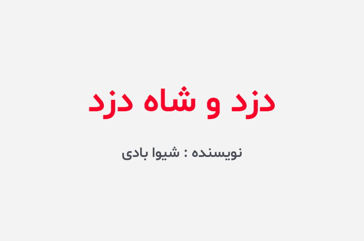 دانلود رمان دزد و شاه دزد