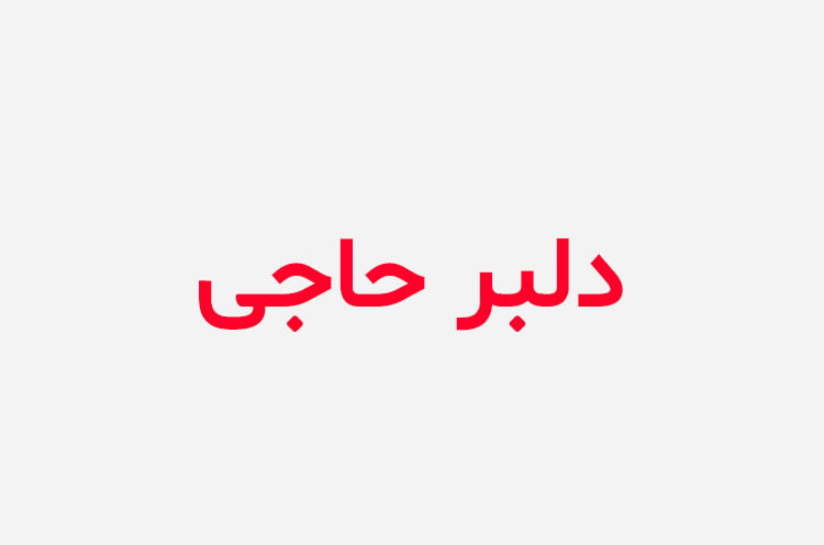 دانلود رمان دلبر حاجی