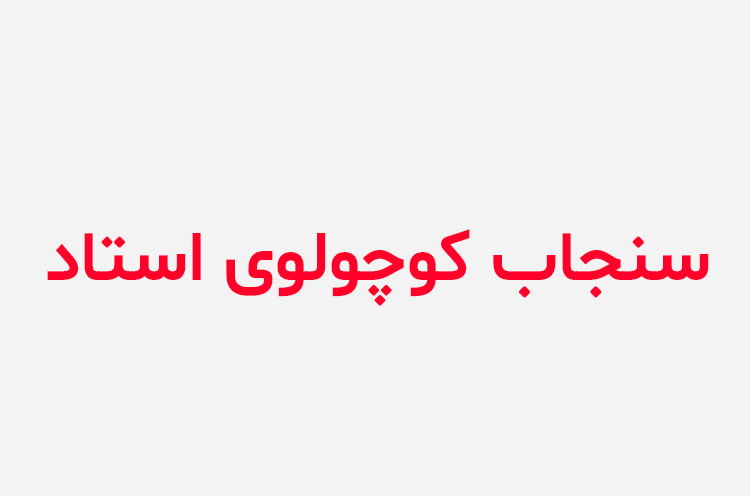 دانلود رمان سنجاب کوچولوی استاد