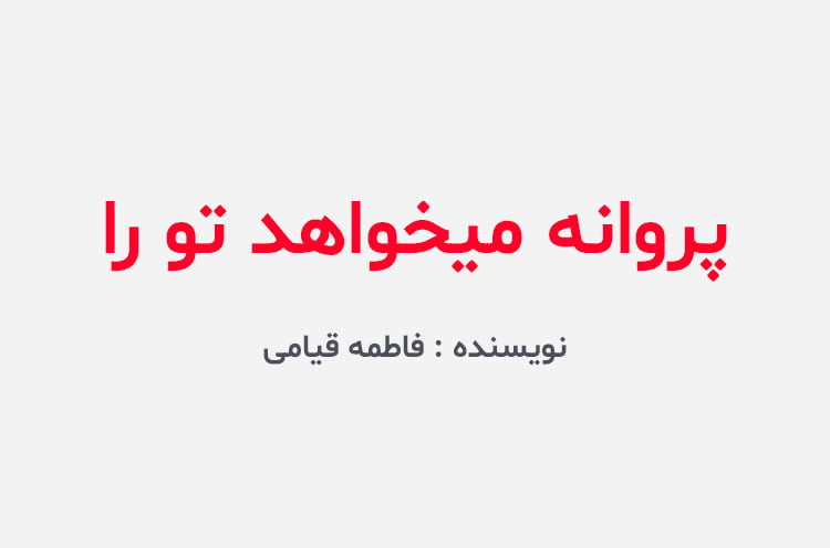دانلود رمان پروانه میخواهد تو را