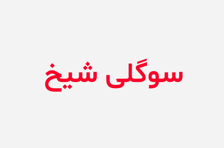 دانلود رمان سوگلی شیخ