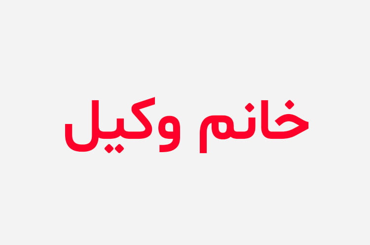 دانلود رمان خانم وکیل