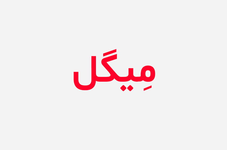 دانلو رمان میگل