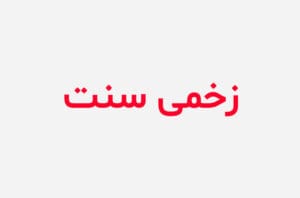 دانلود رمان زخمی سنت