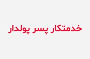 دانلود رمان خدمتکار پسر پولدار