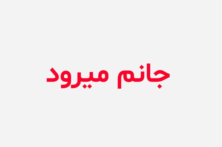 دانلود رمان جانم میرود