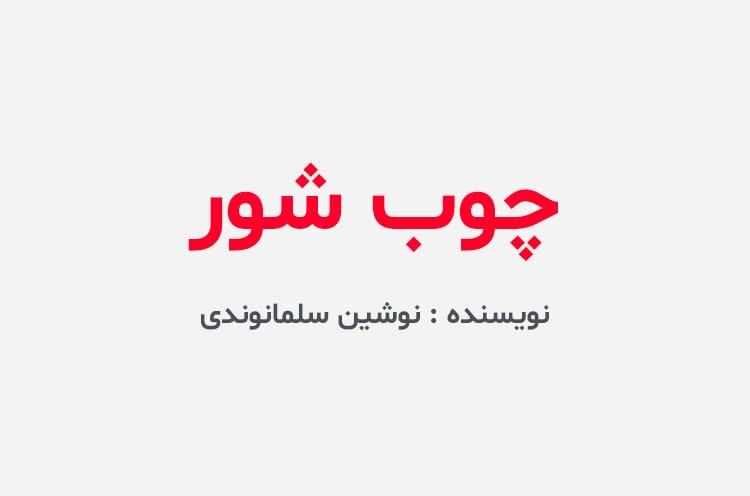 دانلود رمان چوب شور