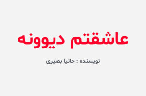 دانلود رمان عاشقتم دیوونه