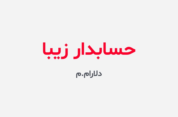 دانلود رمان حسابدار زیبا