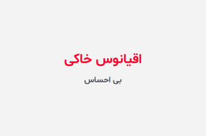 دانلود رمان اقیانوس خاکی