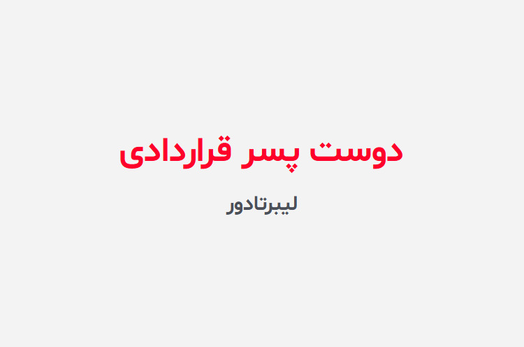 دانلود رمان دوست پسر قراردادی