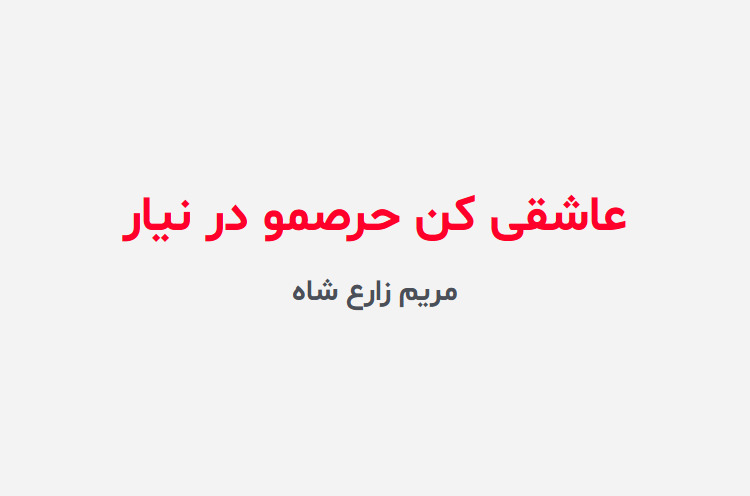 دانلود رمان عاشقی کن حرصمو در نیار