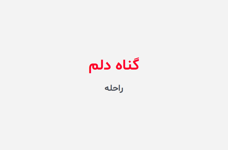 دانلود رمان گناه دلم