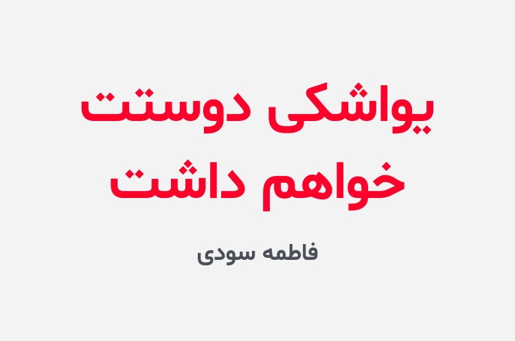 دانلود رمان یواشکی دوستت خواهم داشت